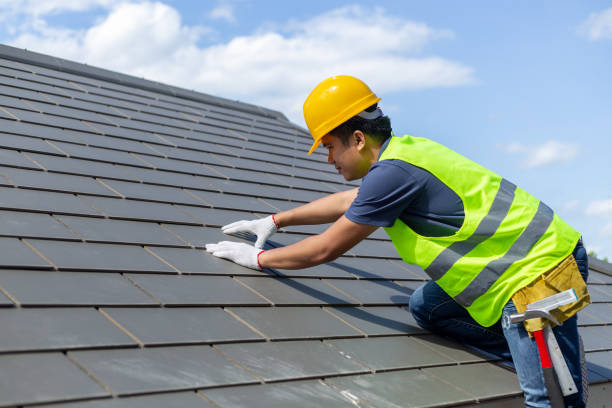 Best Roof Repair Services  in Mount Morris, IL