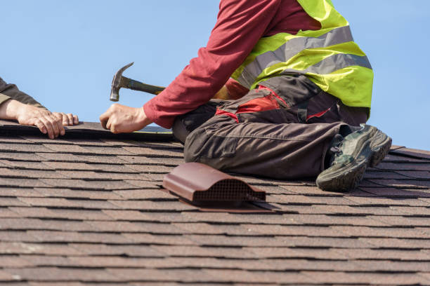 Best Roof Gutter Cleaning  in Mount Morris, IL