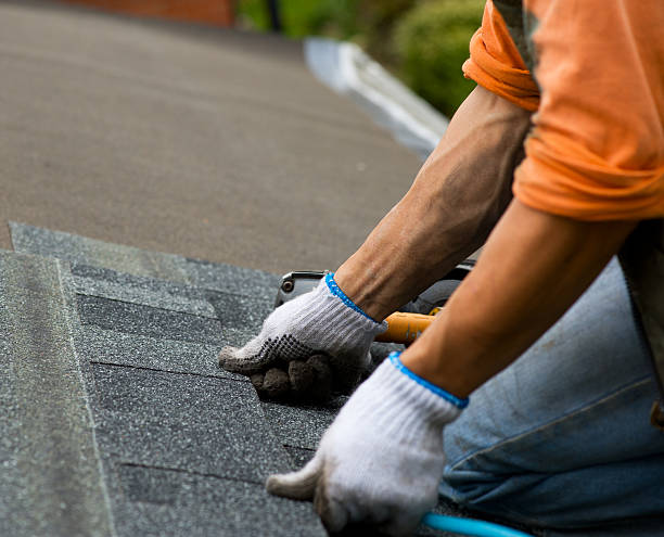 Roof Repair Estimates in Mount Morris, IL